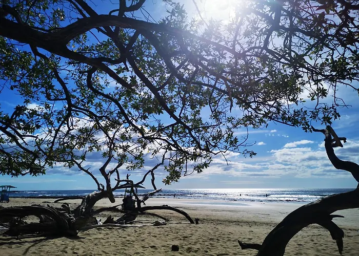 Casa Avi Fauna Nature, Plage 5M, Lir 40M Hospedagem domiciliar *