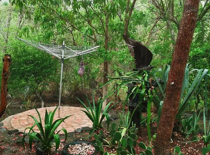 Casa Avi Fauna Nature Y Casa Almacalma Séjour chez l'habitant *